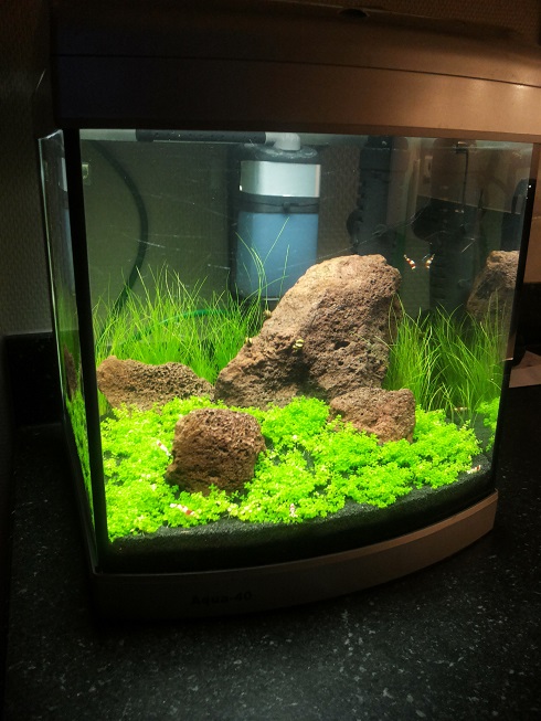 aqua-40-10.jpg