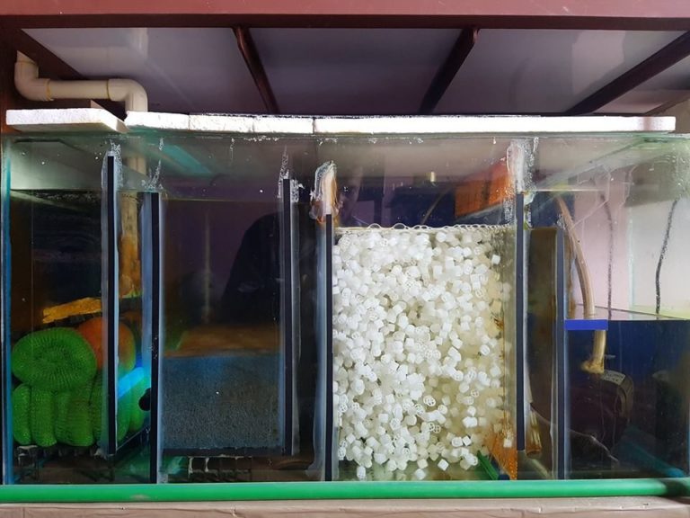 Aquarium-Sump-Filter-e1564555697658-768x576.jpg