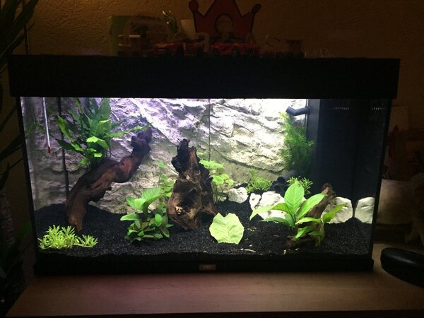 aquarium_01.jpg