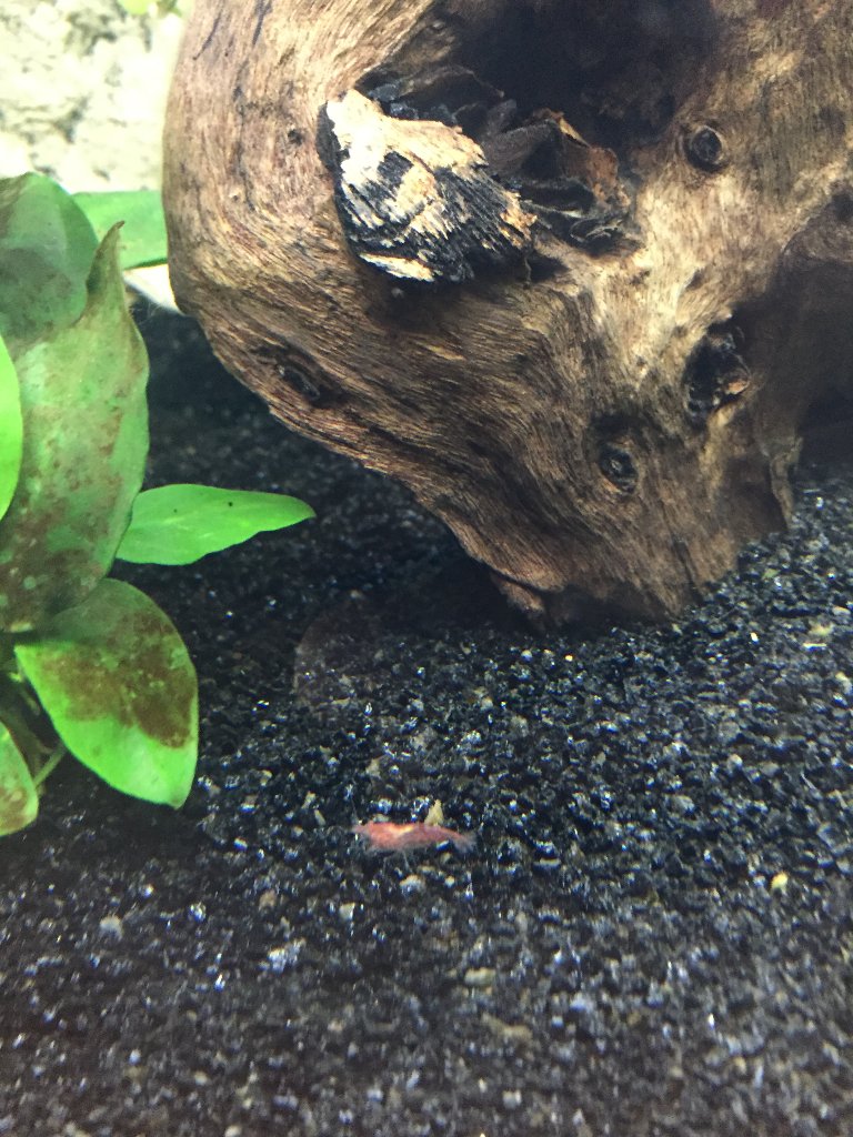 aquarium_02.jpg