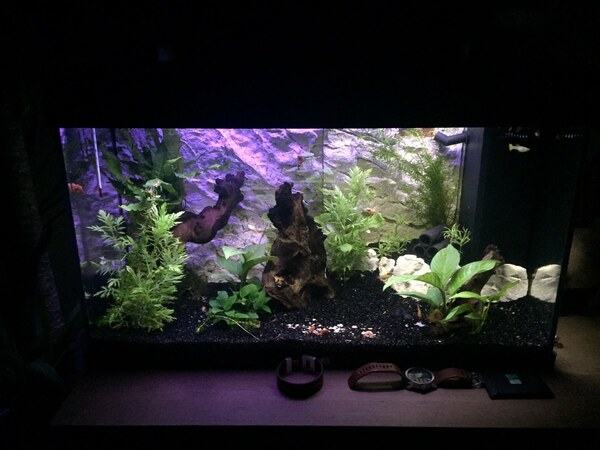aquarium_04.jpg