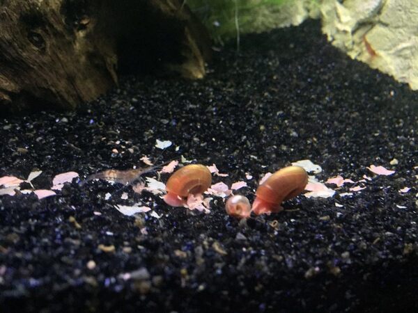 aquarium_05.jpg