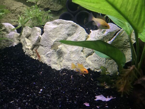 aquarium_06.jpg