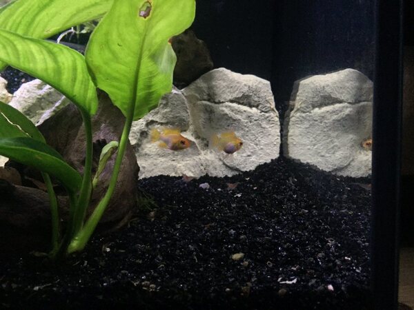 aquarium_07.jpg
