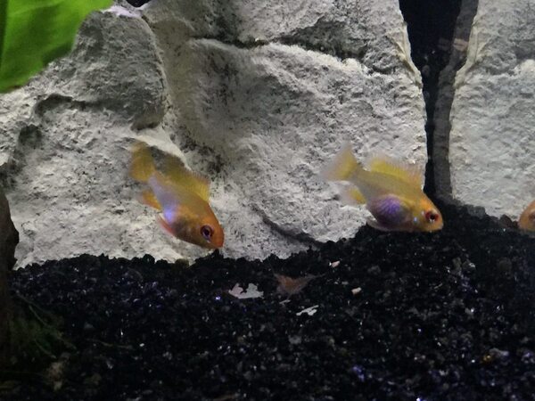 aquarium_08.jpg