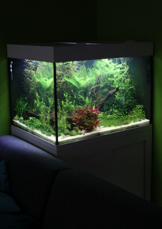 aquarium_2016_04_28_01.jpg