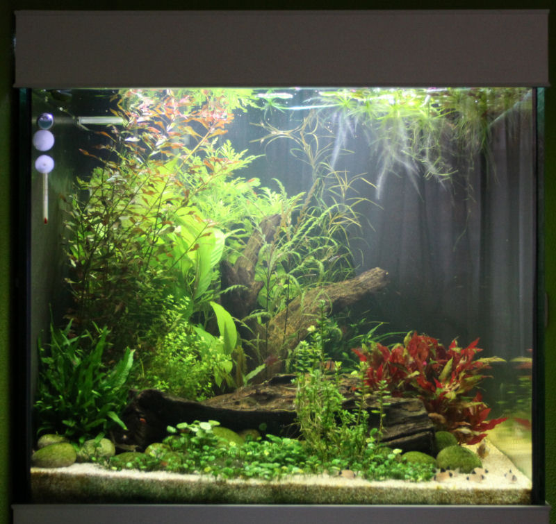 aquarium_2016_04_28_03.jpg