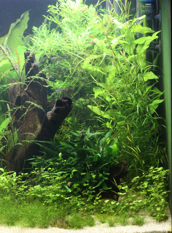aquarium_2016_04_28_05.jpg