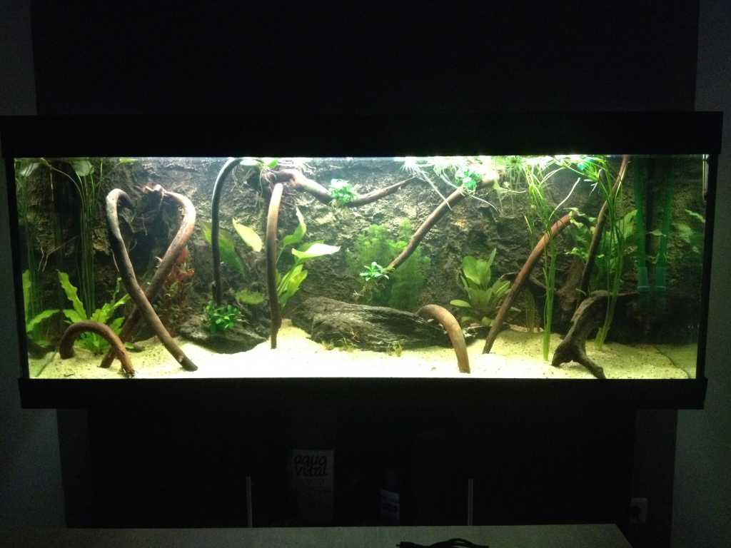 aquarium_ingericht.jpg