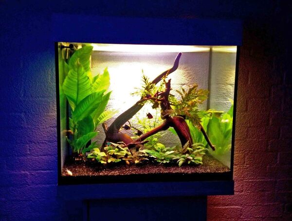 aquariumlido.jpg