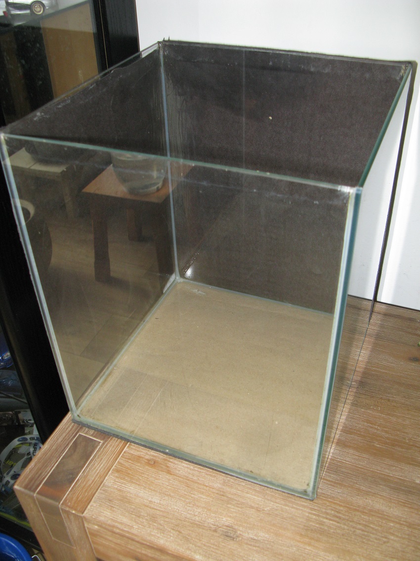 b5.jpg