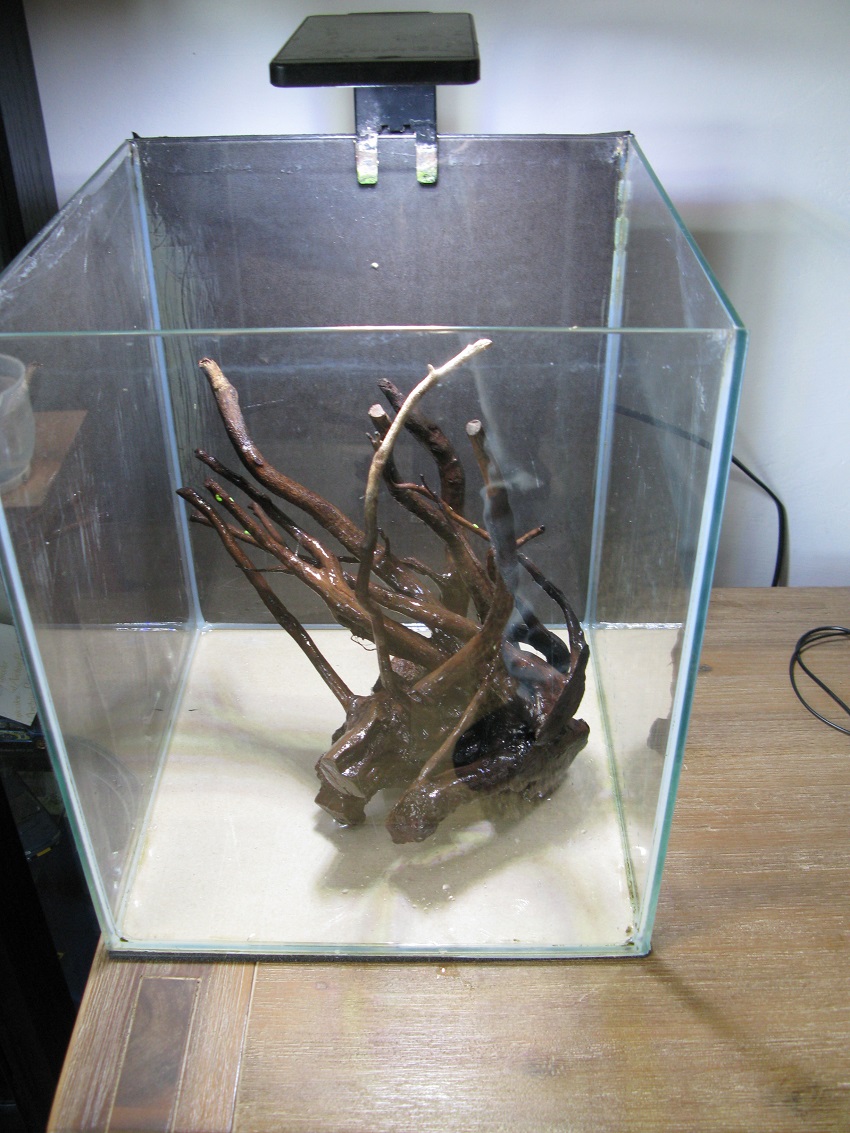 b6.jpg