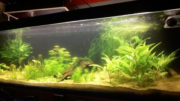 bioco2 na 6weken 1 week na sproeibuis.jpg