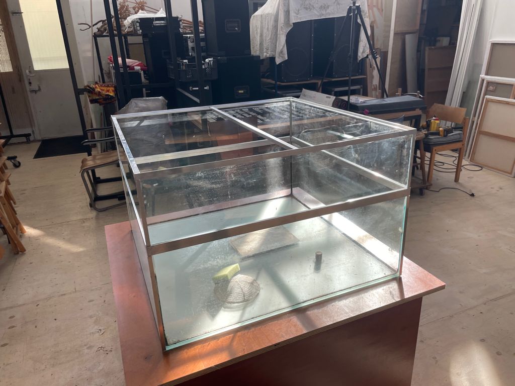 c2ee9e04-0061-466f-9c5b-00941802efef 2.JPG