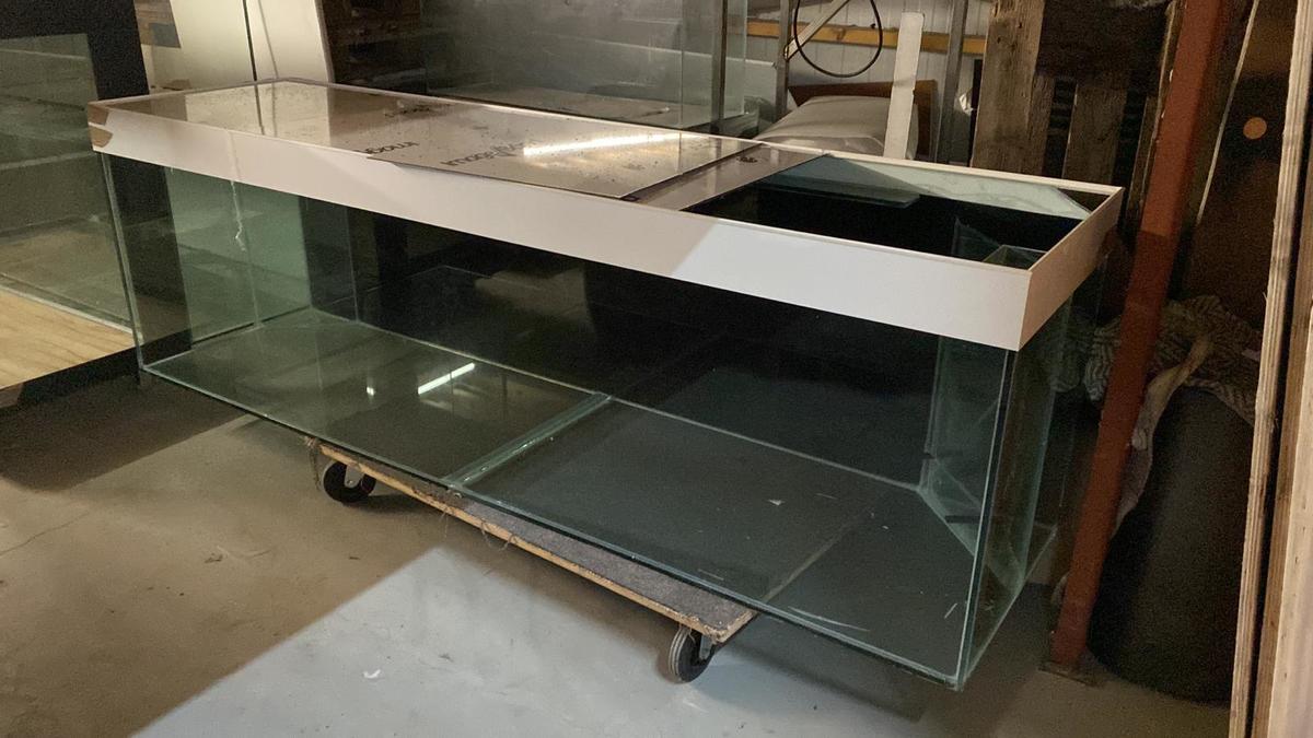 cdd129f1-9077-49ba-9c87-47bfdc99f8ec.jpg