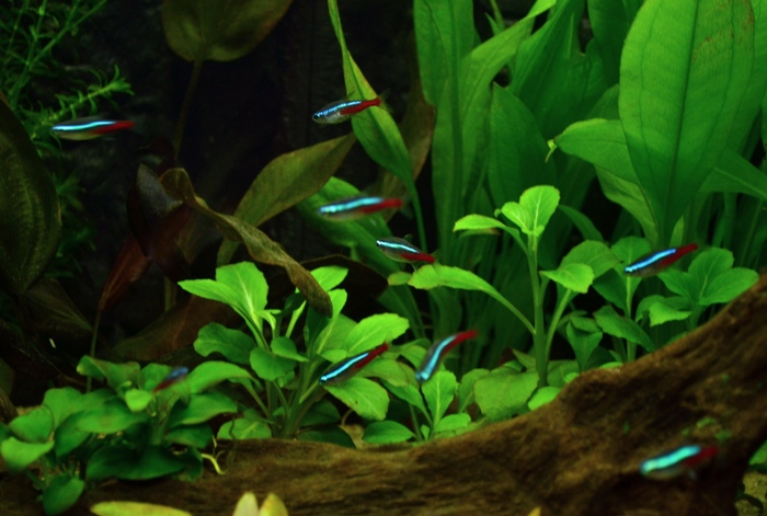 csc_0362.jpg