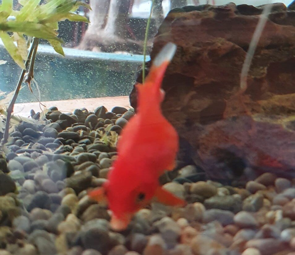 d6394f14-67cf-4f91-8eb5-9c46371719e1 (2).jpg