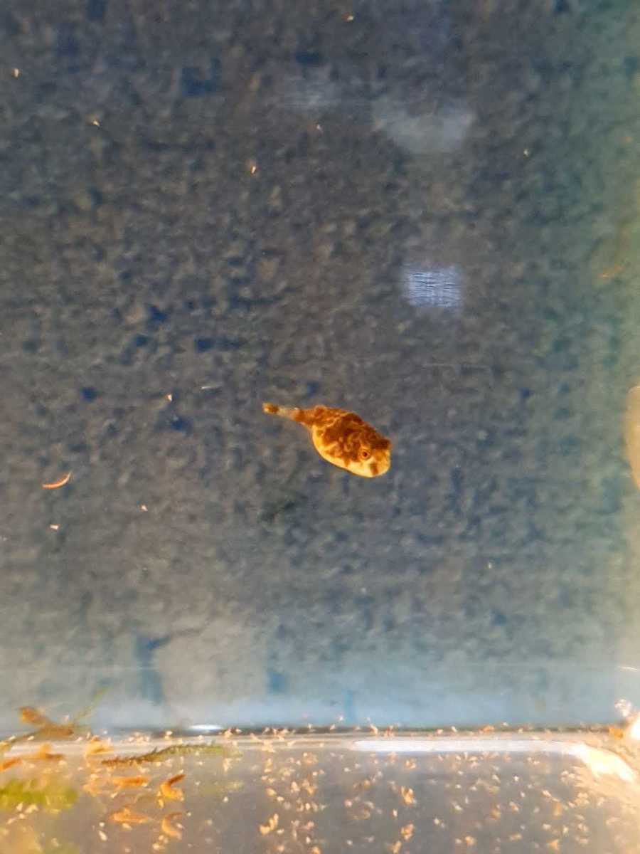 Dag34-WhatsApp Image 2021-11-12 at 17.35.28.jpeg