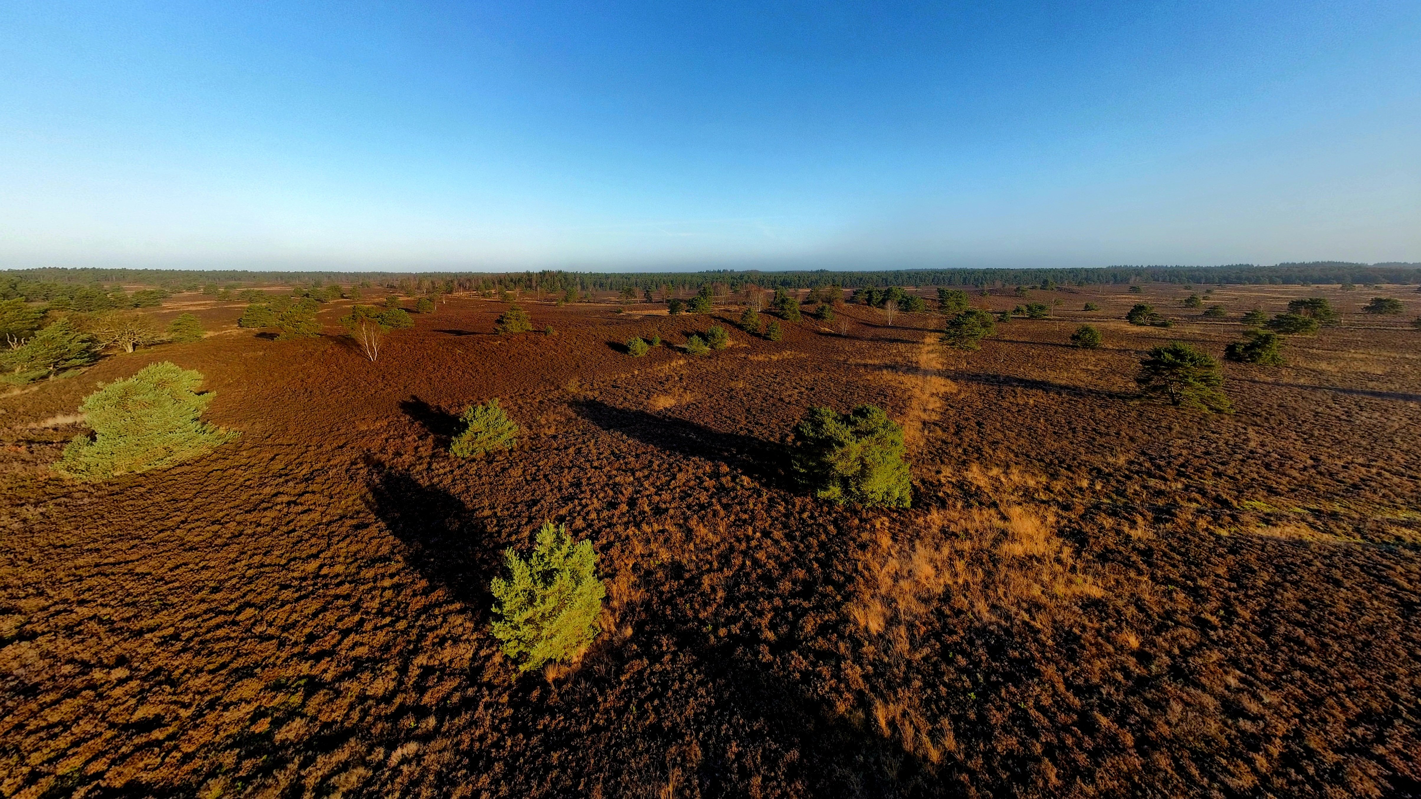 dji_fly_20251228_102218_121_1766913966909_pano_optimized(1).jpg
