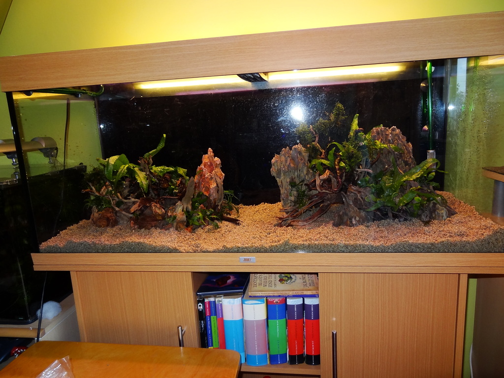 DSC01087.jpg