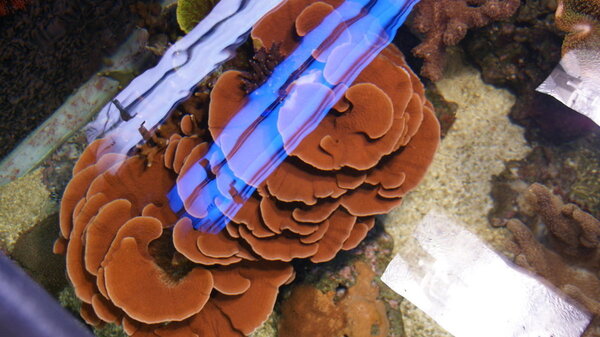 DSC03738.JPG