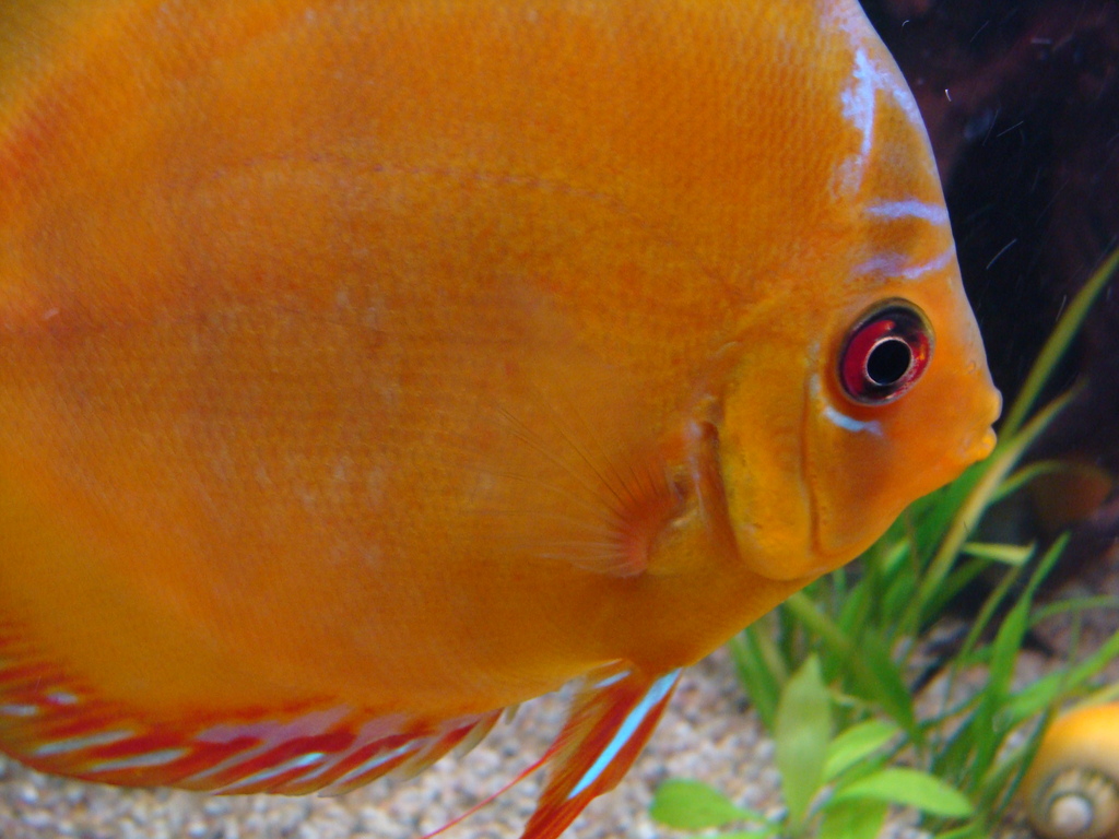 DSC04406_zpsyzxghldw.jpg