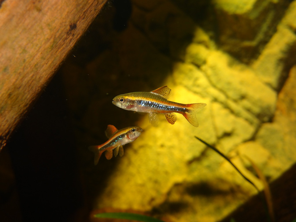 DSC05931_zps2ojmyzwv.jpg