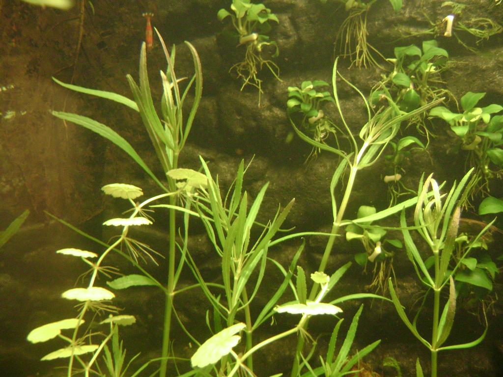 DSC07641_zps45373cc6.jpg