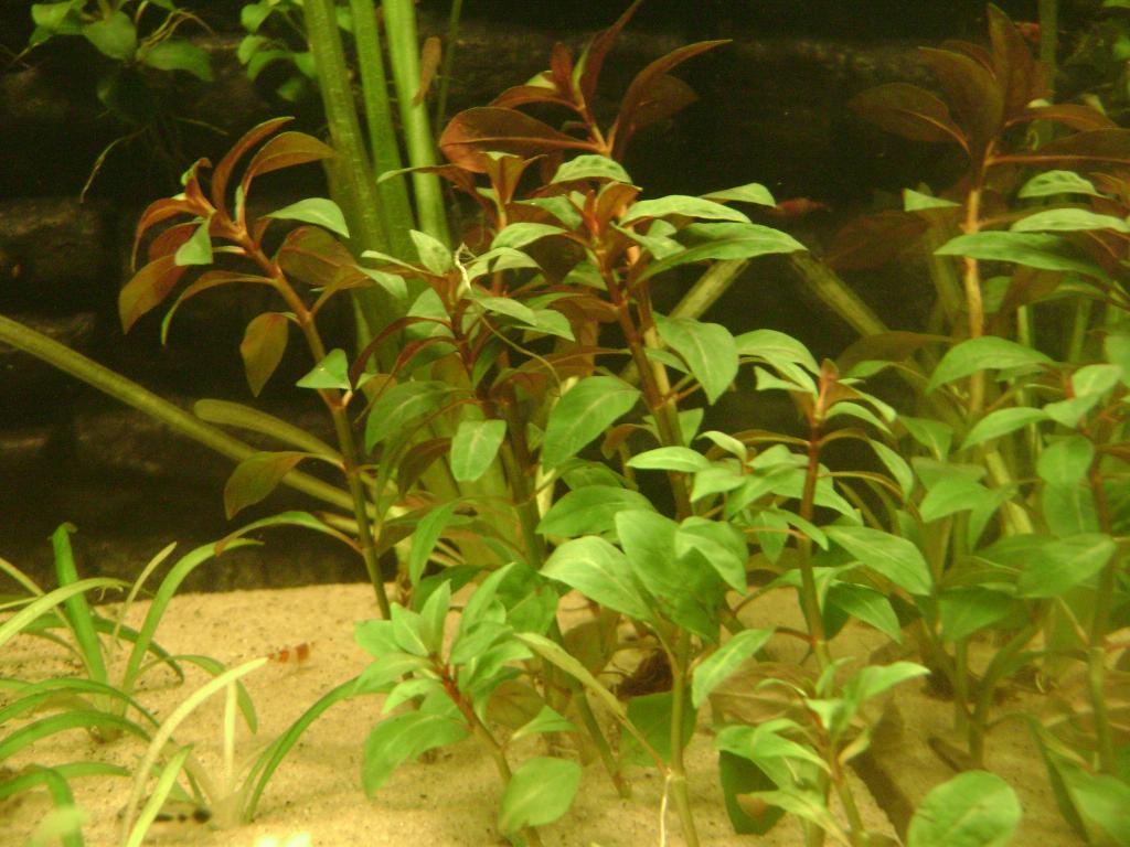 DSC07644_zpsc814bcbf.jpg