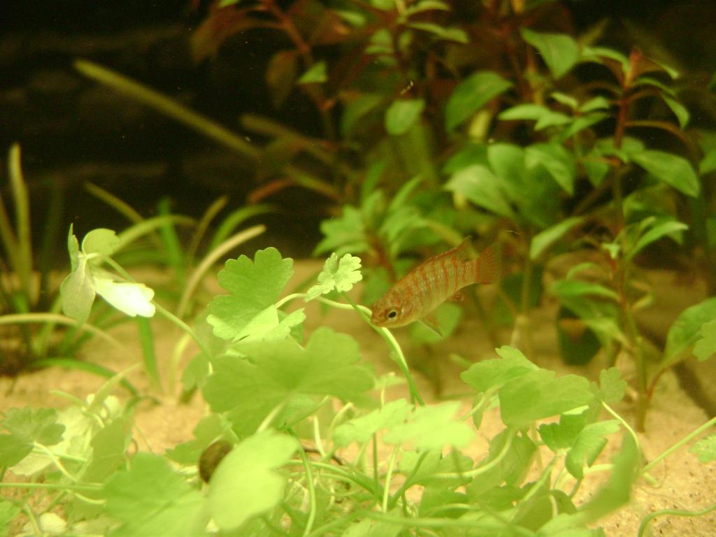 DSC07656_zps4110953e.jpg