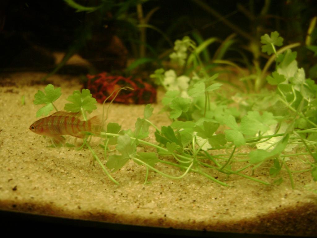 DSC07664_zps429dc762.jpg