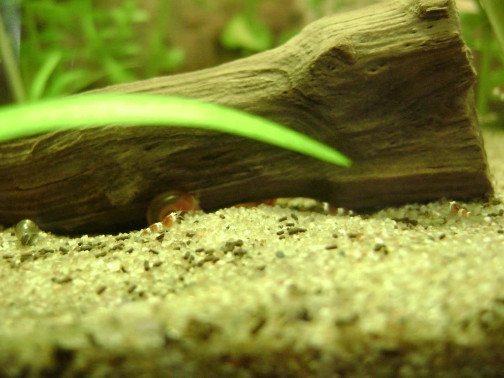 DSC07861_zpse6d4ce47.jpg