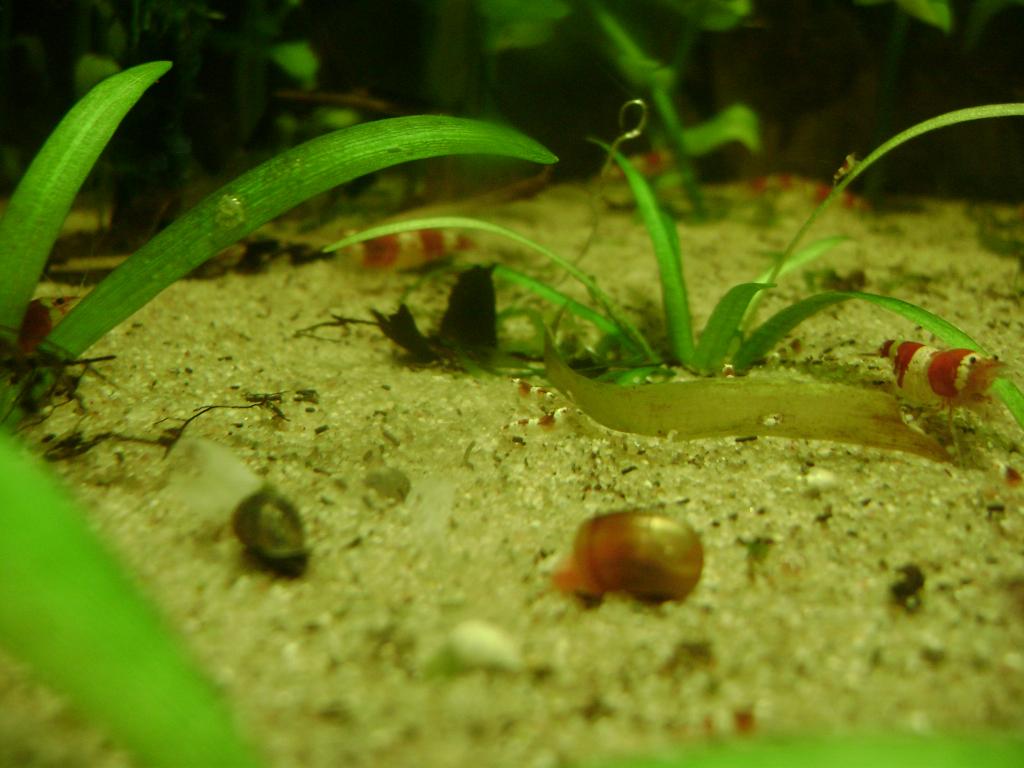 DSC07939_zps5dcfce5b.jpg