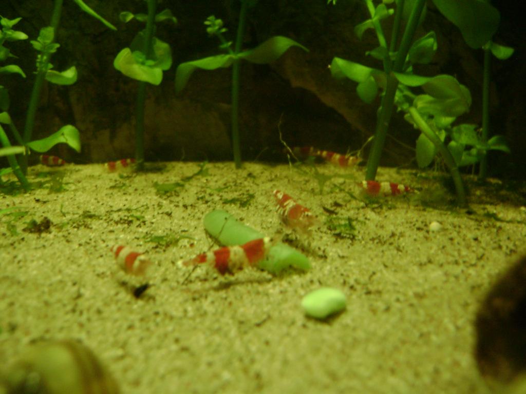 DSC07946_zps8c84eace.jpg