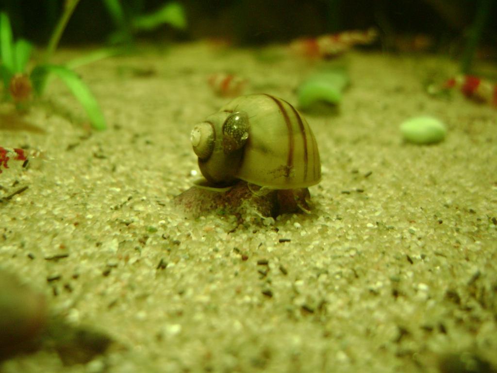 DSC07948_zpsdc4f84e4.jpg