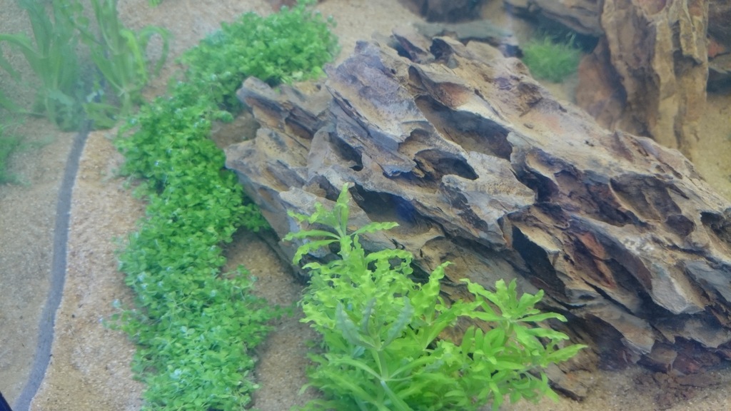 DSC_0121_zpsupbeqqm9.jpg
