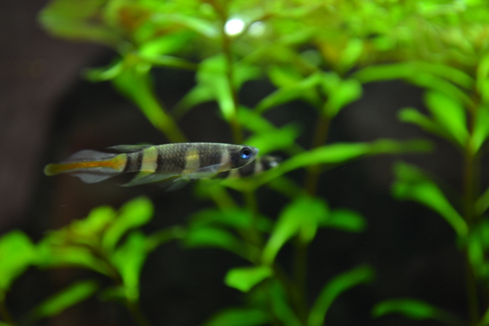 dsc_0380.jpg
