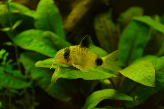 dsc_03931.jpg