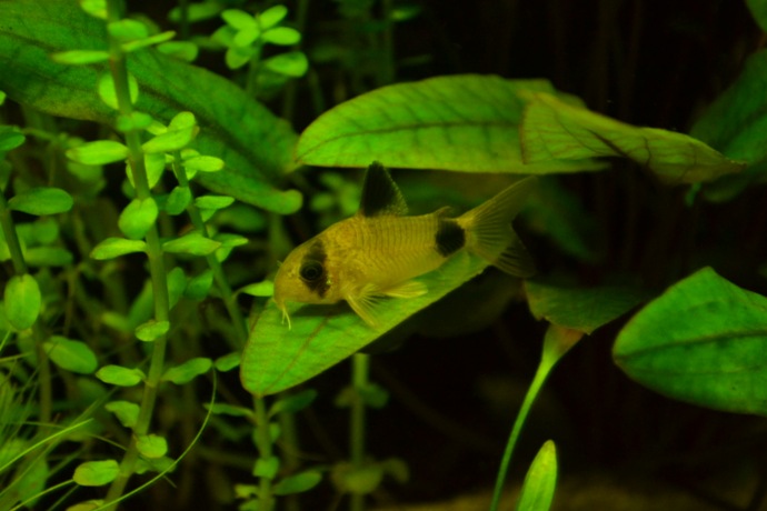 dsc_0405.jpg