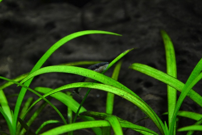 dsc_0673.jpg