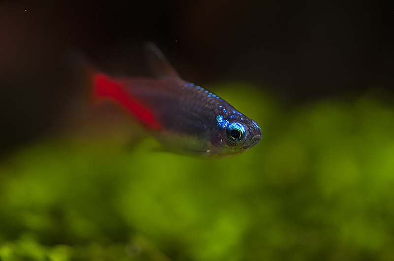 DSC_2272.jpg