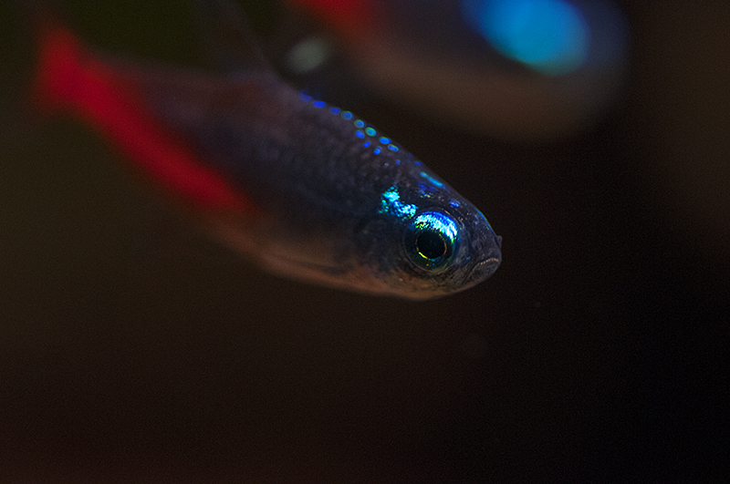 DSC_2283.jpg