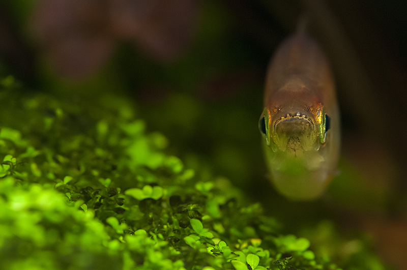 DSC_2357.jpg