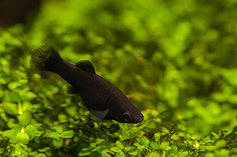 DSC_2417.jpg