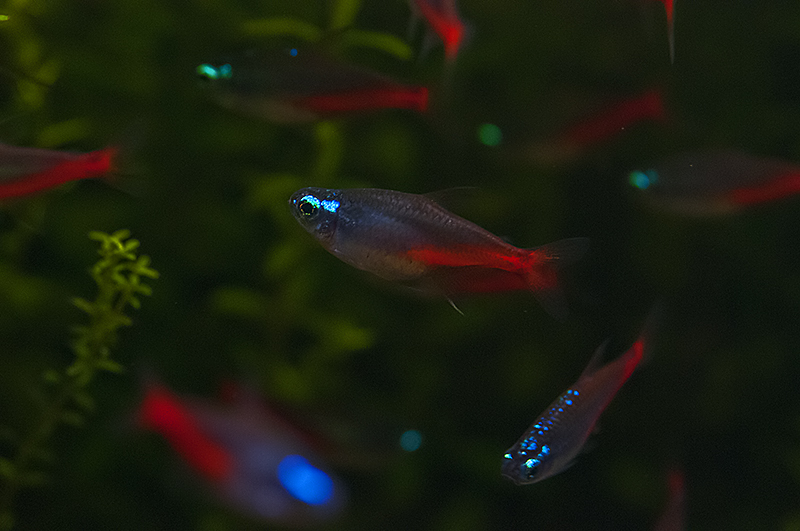 DSC_2541.jpg