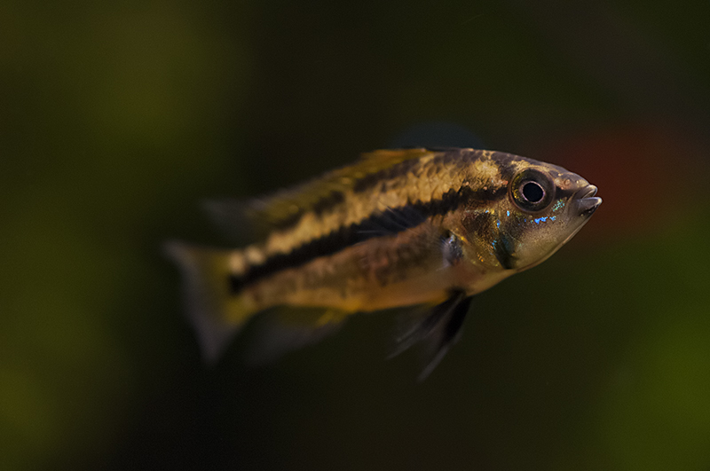 DSC_2570.jpg