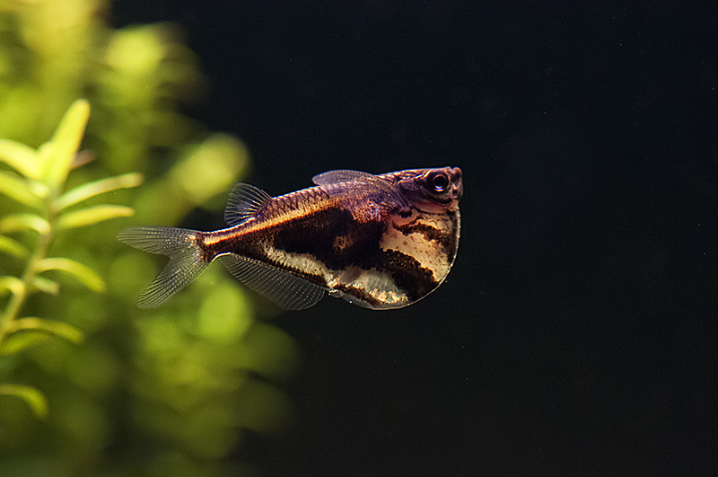 DSC_2578.jpg
