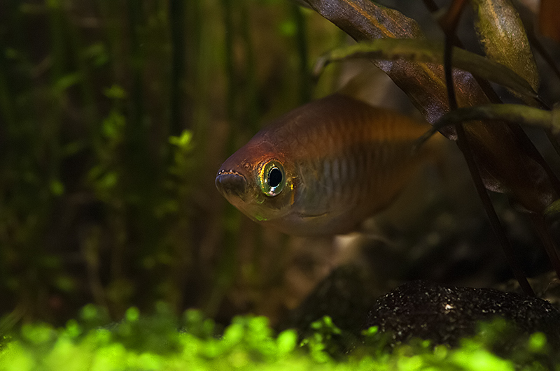 DSC_2606.jpg