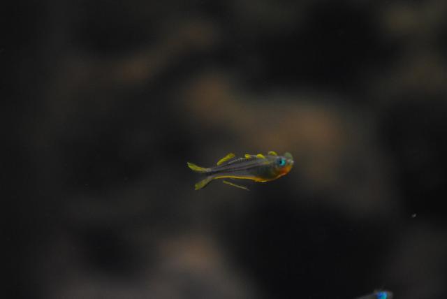 DSC_8236_zps54189d6c.jpg