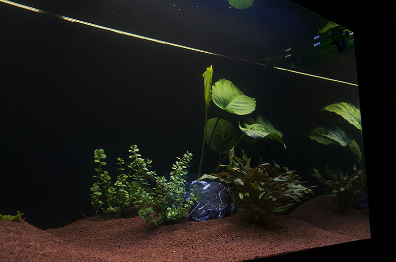 DSC_8511.jpg
